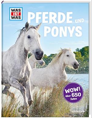 Was ist was: Pferde und Ponys