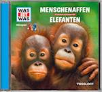 Was ist was Hörspiel-CD: Menschenaffen/Elefanten