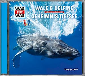 Was ist was Hörspiel-CD: Wale & Delfine/ Geheimnisse der Tiefsee