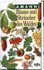 Bäume und Sträucher des Waldes