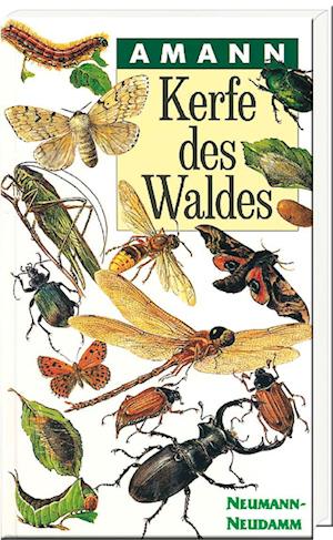 Kerfe des Waldes