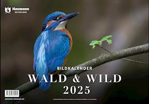 Wald & Wild 2025