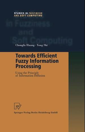 Towards Efficient Fuzzy Information Processing