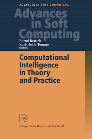 Computational Intelligence in Theory and Practice