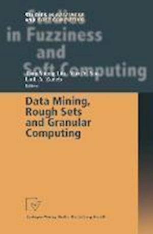 Data Mining, Rough Sets and Granular Computing