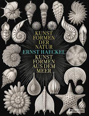 Ernst Haeckel