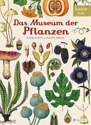 Das Museum der Pflanzen