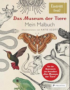 Das Museum der Tiere. Mein Malbuch