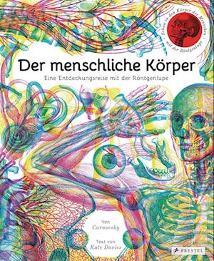 Der menschliche Körper