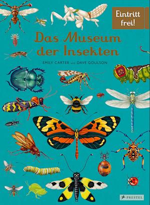 Das Museum der Insekten