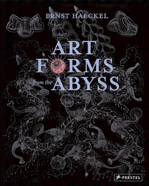 Art Forms from the Abyss