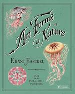 Ernst Haeckel: Art Forms in Nature: 22 Pull-Out Posters