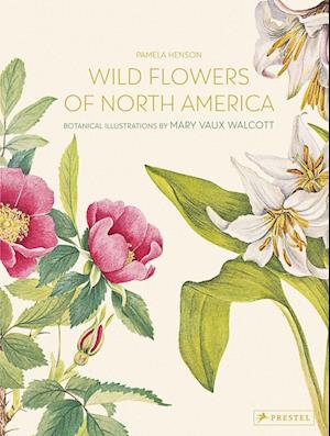 Wild Flowers of North America