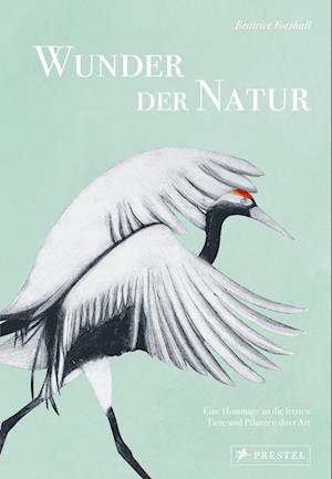 Wunder der Natur