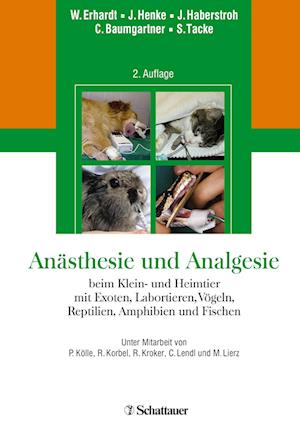 Anästhesie und Analgesie beim Klein- und Heimtier