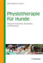 Physiotherapie für Hunde