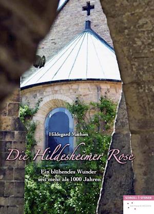 Die Hildesheimer Rose