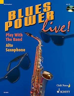 Blues Power Live! - Play with the Band