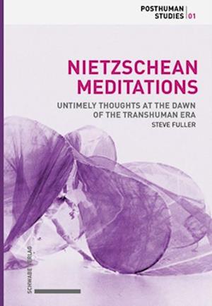 Nietzschean Meditations