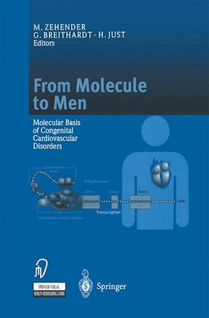 From Molecule to Men