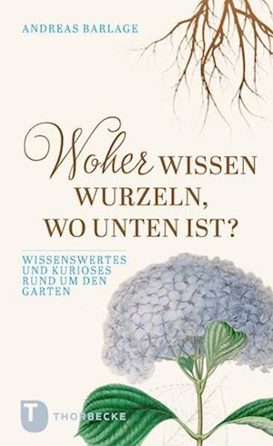 Woher wissen Wurzeln, wo unten ist?