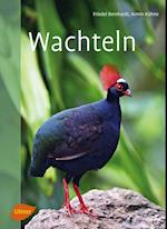 Wachteln