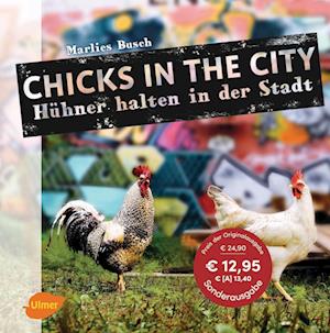 Chicks in the City