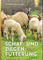 Schaf- und Ziegenfütterung