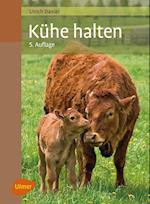 Kühe halten