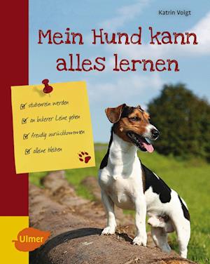 Mein Hund kann alles lernen