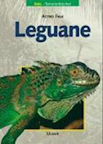 Leguane