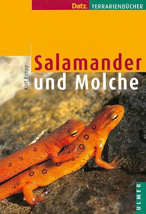 Salamander und Molche