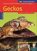 Geckos