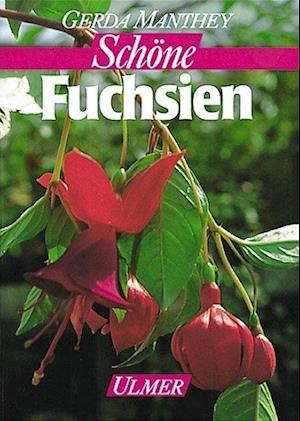 Fuchsien für Balkon und Terrasse