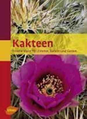 Kakteen