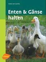 Enten und Gänse halten