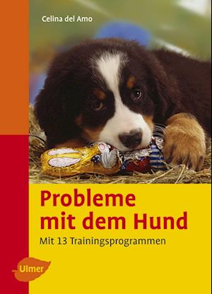 Probleme mit dem Hund