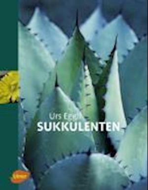 Sukkulenten