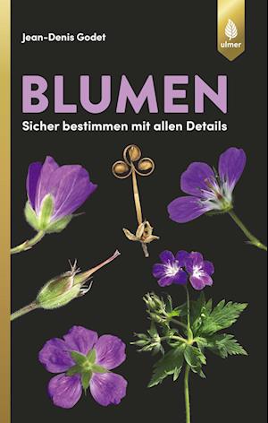 Blumen