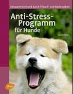 Anti-Stress-Programm für Hunde