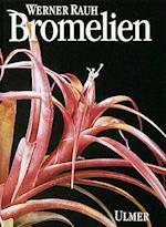 Bromelien