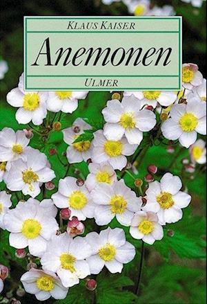 Anemonen