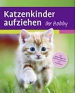 Katzenkinder aufziehen