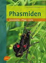 Phasmiden