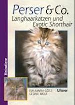 Perser und Co. Langhaarkatzen und Exotic Shorthair