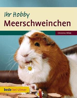 Meerschweinchen Ihr Hobby