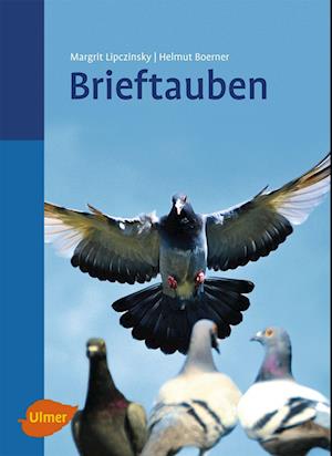 Brieftauben