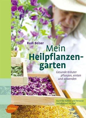 Mein Heilpflanzengarten