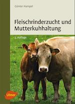 Fleischrinderzucht und Mutterkuhhaltung