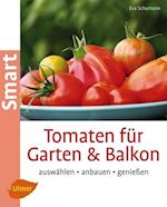 Tomaten für Garten und Balkon